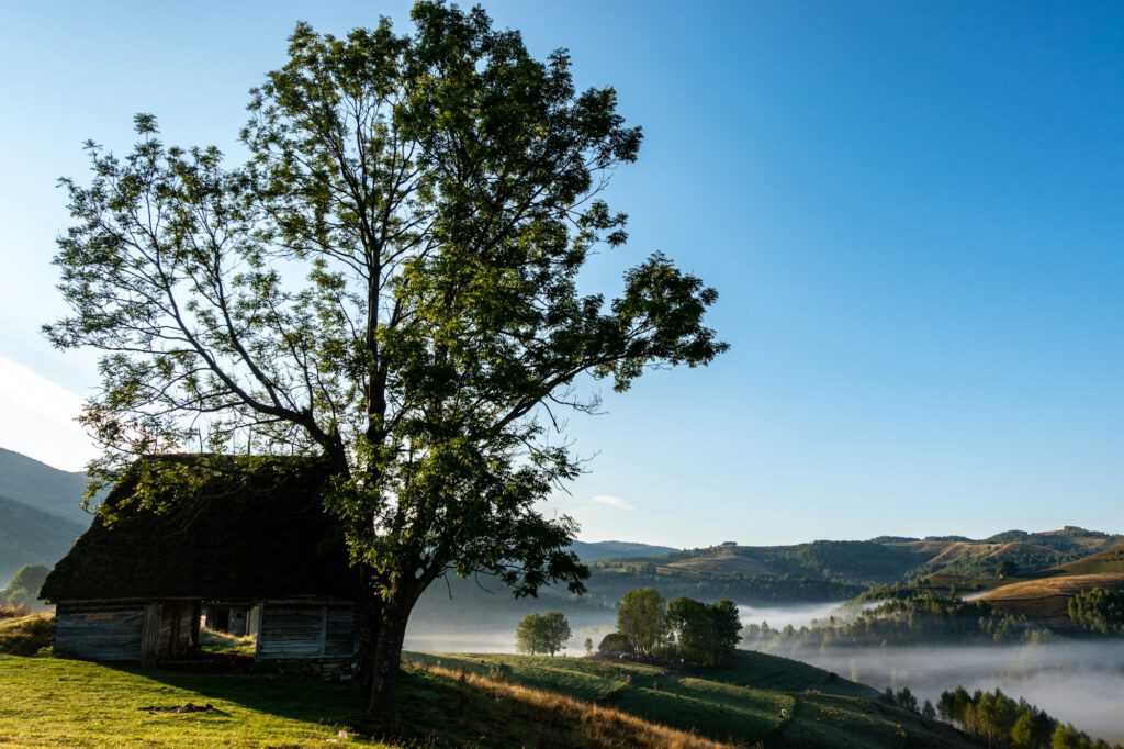 Inselanlage auf einem Haus in der Wildnis